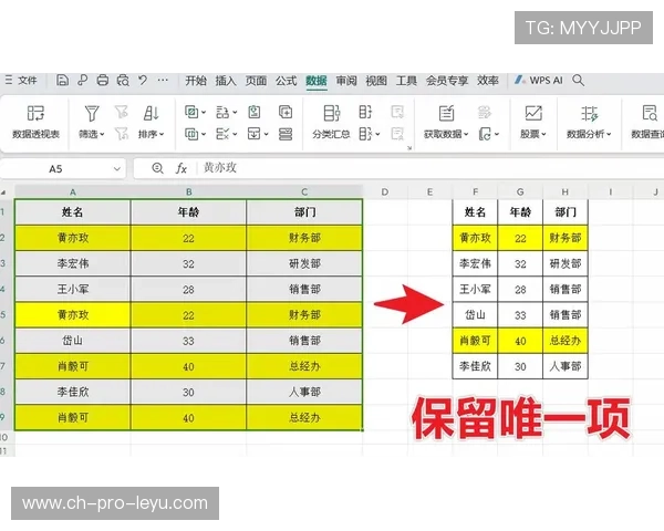 整理后只保留标题，一行一句，并过滤无关内容：提升效率的终极秘诀