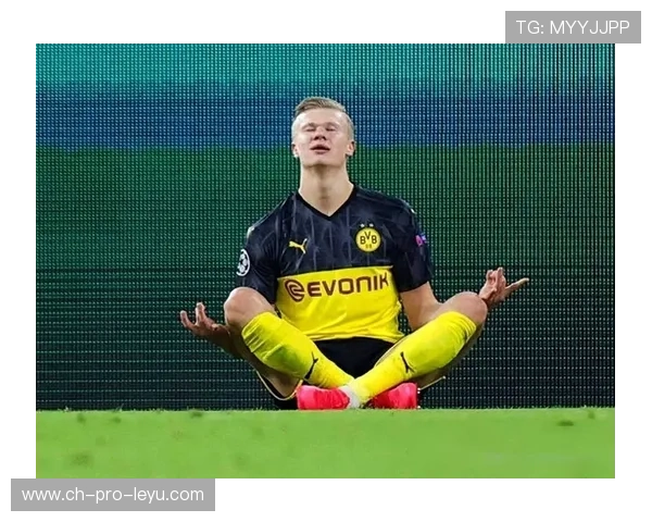 巴黎追哈兰德式终极锤